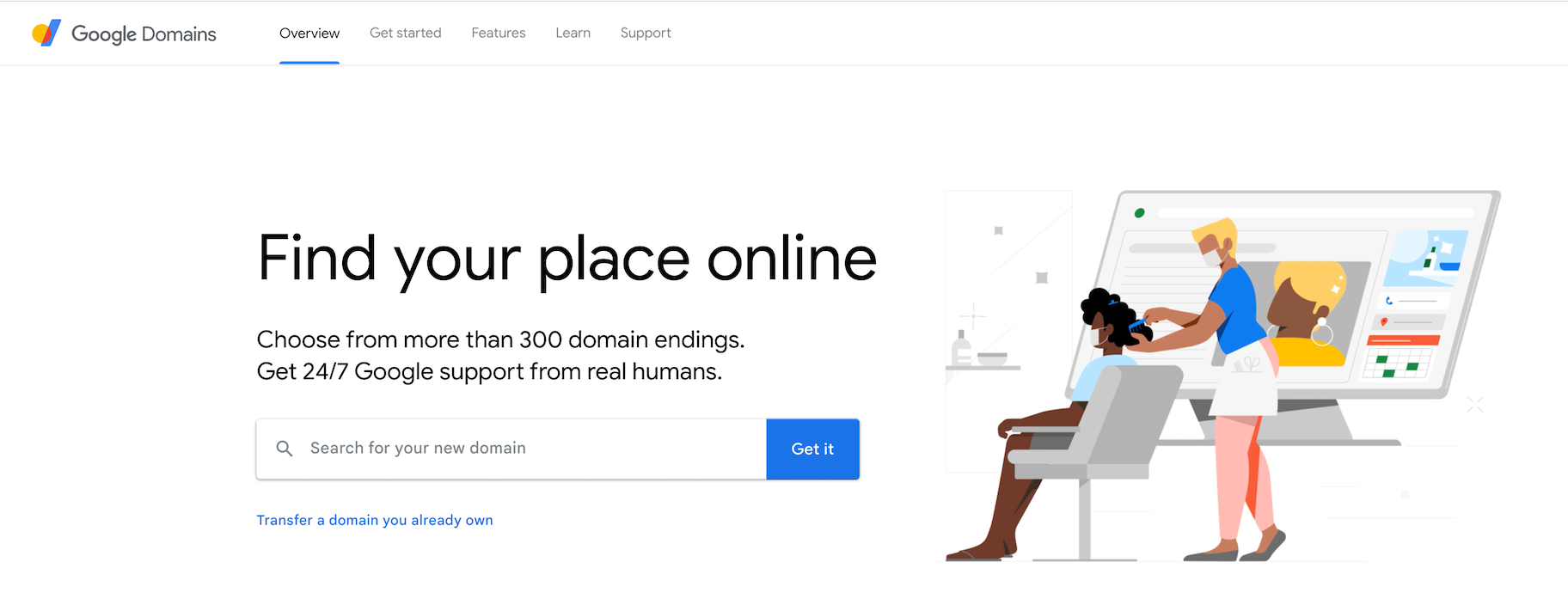 Google's domain service