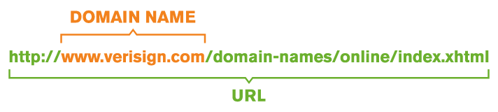 Domain VS URL