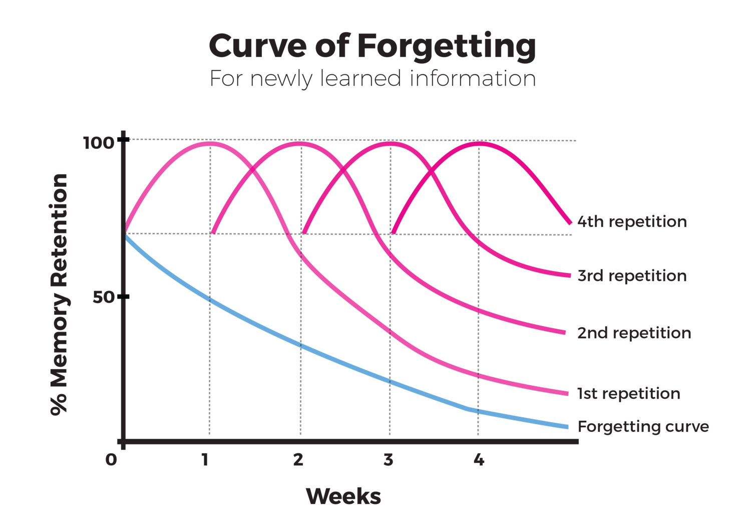 Tips on How to Memorize Anything: Curve of Forgetting