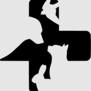 68b32dc98c384.jpg