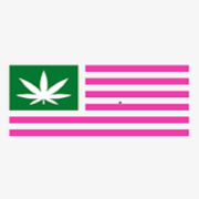 69ca41380e765.png